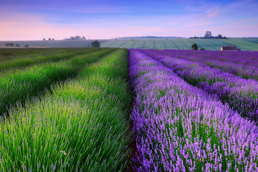 864371 (a): :1920x1278